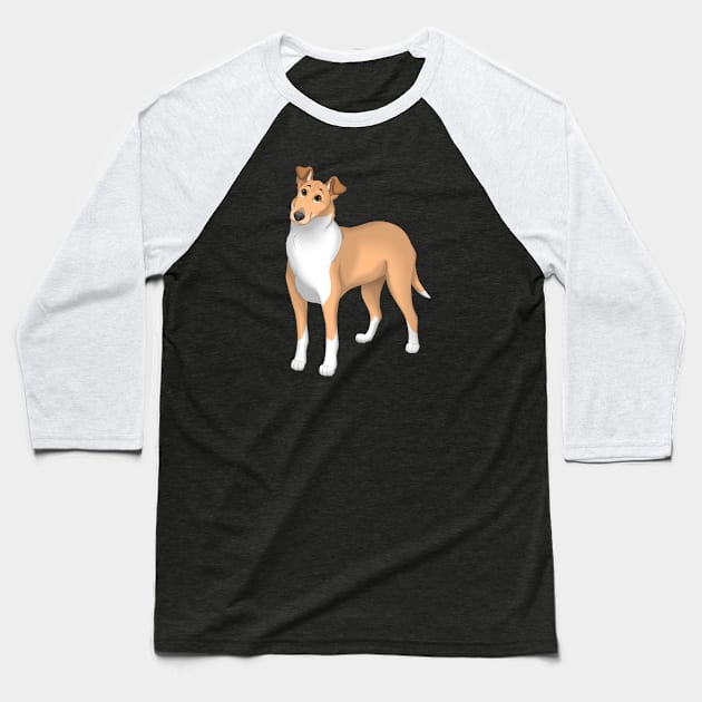 Sable Smooth Collie Dog Baseball T-Shirt by millersye